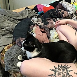 Photo of Salem