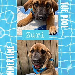 Photo of Zuri