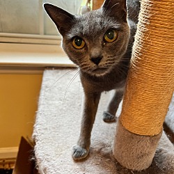 Photo of Skylar