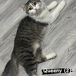 Photo of Queeny