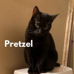 Thumbnail photo of Pretzel #1