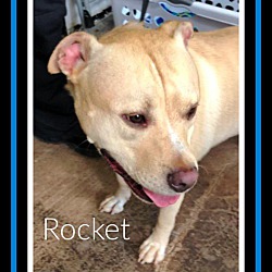 Thumbnail photo of Rocket #1