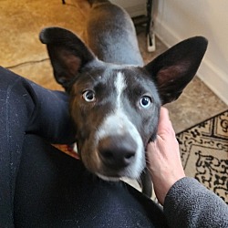Photo of Luna