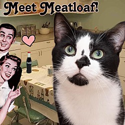 Thumbnail photo of Meatloaf #2
