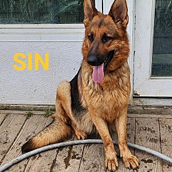 Photo of Sin
