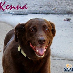 Thumbnail photo of Kenna #3