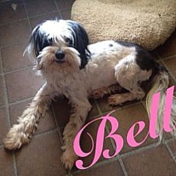 Photo of Belle