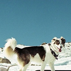 Photo of Finn