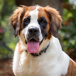 Photo of BETSY