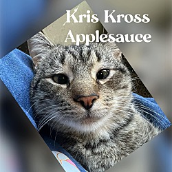 Thumbnail photo of Kris Kross #1