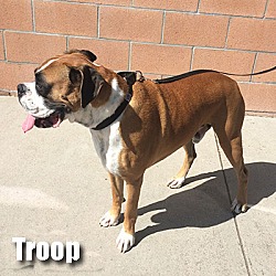 Thumbnail photo of Troop #2