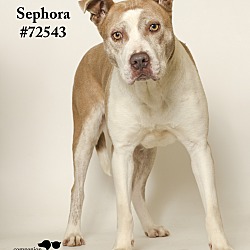 Thumbnail photo of Sephora #1
