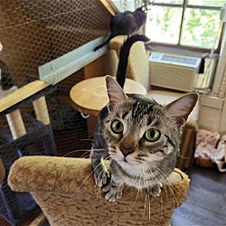 Photo of Polly