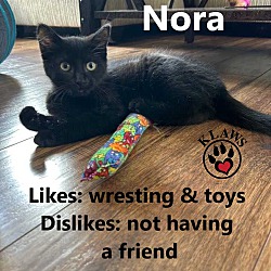 Photo of Nora