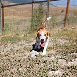 Photo of STOUT