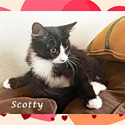 Thumbnail photo of SCOTTY #3