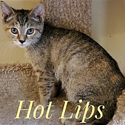 Thumbnail photo of Hot Lips #1