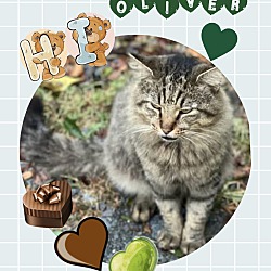 Photo of Oliver