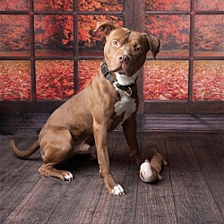 Photo of Tra