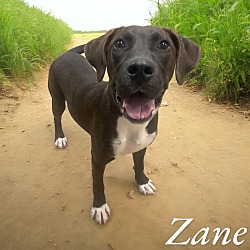 Photo of Zane