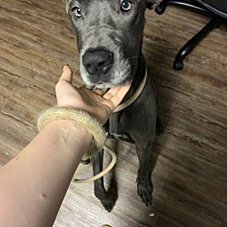 Photo of Luna