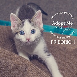 Thumbnail photo of friedrich #1