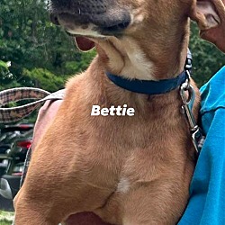 Thumbnail photo of Bettie #2