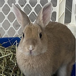 Thumbnail photo of Dolly #1