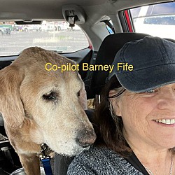 Thumbnail photo of Barney Fife #3