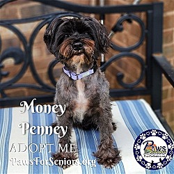 Photo of Miss-Money-Penny