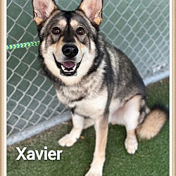 Thumbnail photo of XAVIER #1