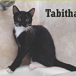 Thumbnail photo of Tabitha #3