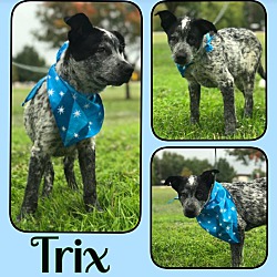 Thumbnail photo of Trix #2