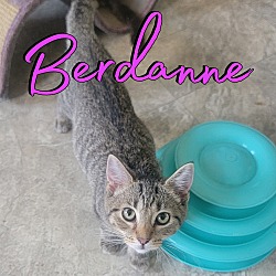 Photo of Berdanne