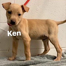 Photo of Ken