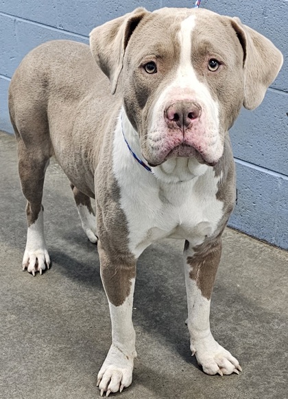 Photo of Titus-NOT AVAILABLE UNTIL 2/26/24