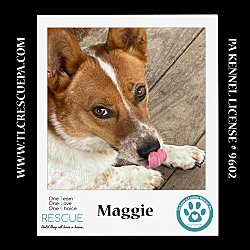 Thumbnail photo of Maggie 081724 #4