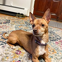 Photo of NICHOLAS
