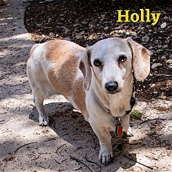 Thumbnail photo of Holly Bea + #3