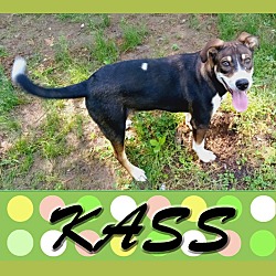Photo of Kass