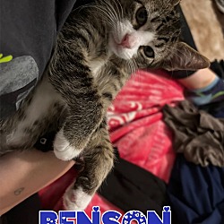 Thumbnail photo of Benson #3