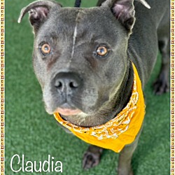 Thumbnail photo of CLAUDIA #3