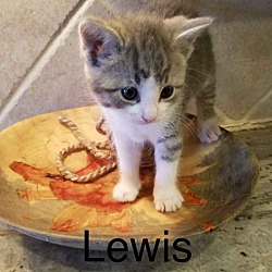 Photo of Lewis