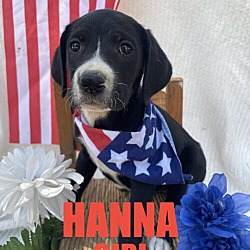 Photo of Hanna