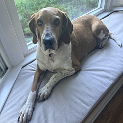 Elliemae