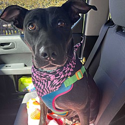 Photo of Evelyn