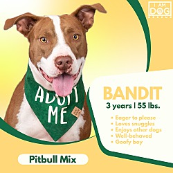 Thumbnail photo of Bandit #1