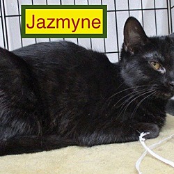 Thumbnail photo of Jazmyne-adopted 11-25-17 #1