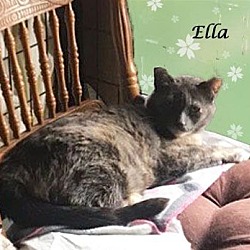 Thumbnail photo of ELLA, A Tripod #2