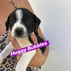 Photo of Huggy Bubbles